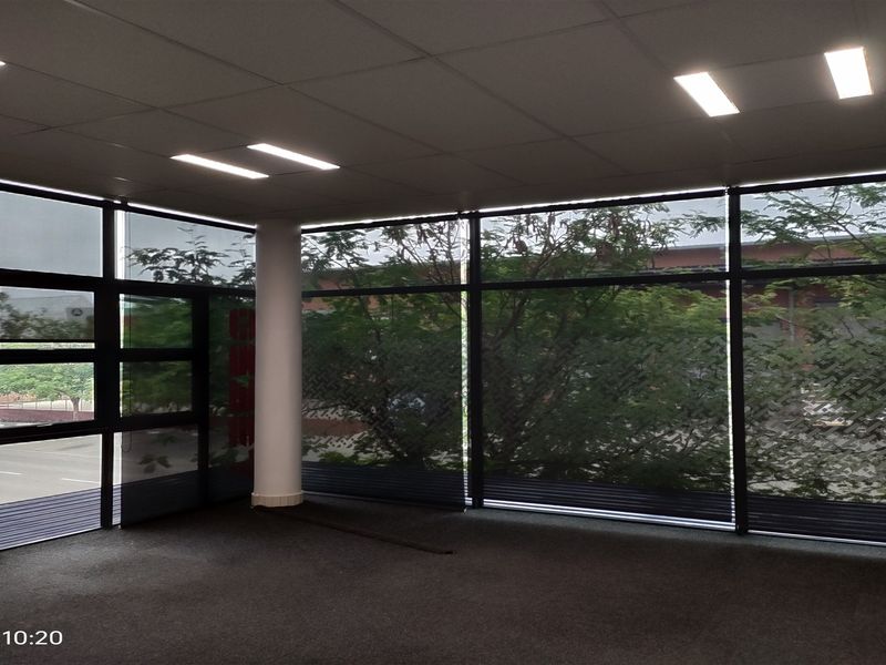 Spacious, empty office area featuring large floor-to-ceiling windows, suspended ceiling with recessed lighting, and carpeted flooring, offering a bright and professional workspace.