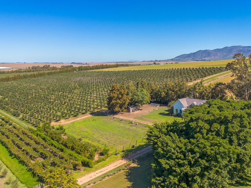 Wellington farm on Berg River for sale. - Photo 2