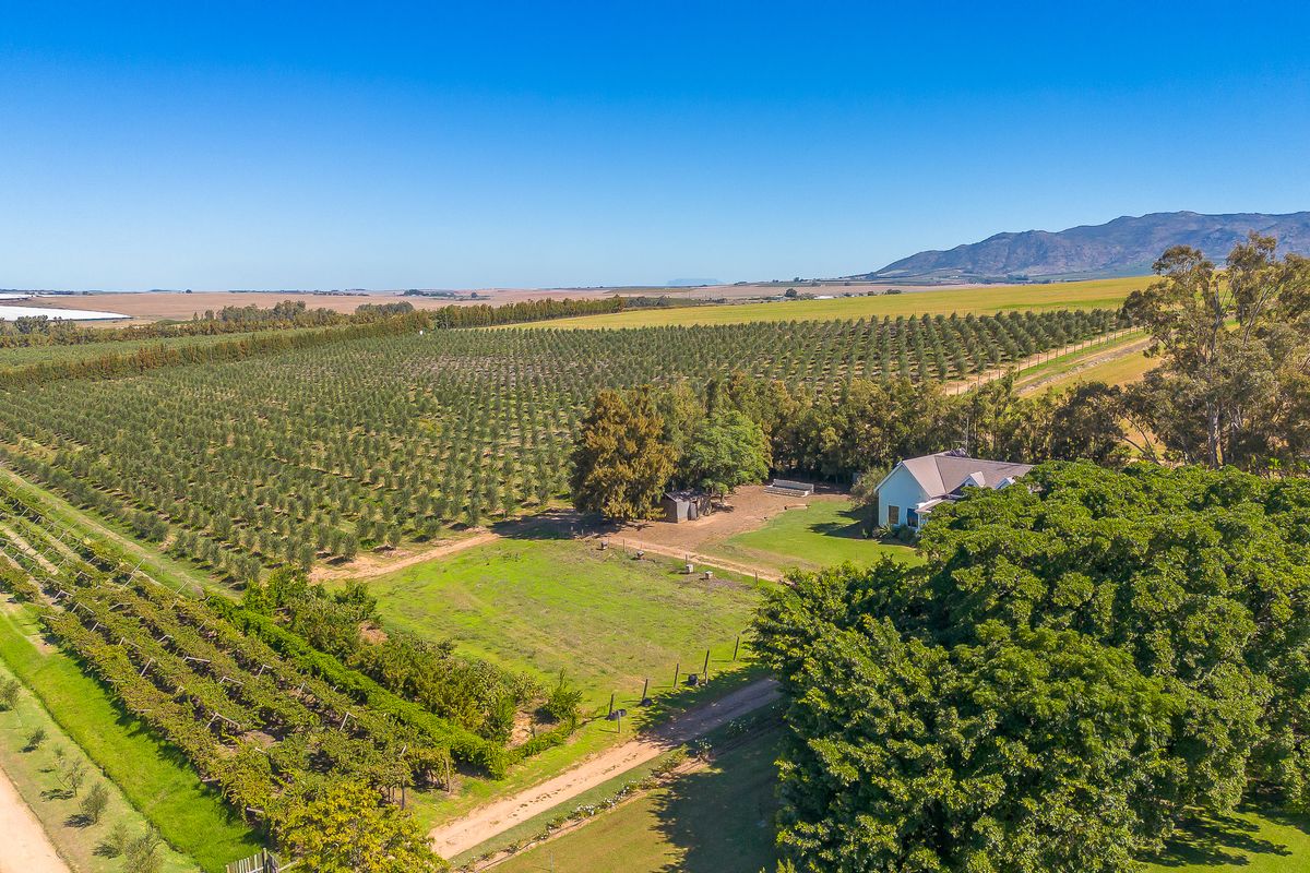 Wellington farm on Berg River for sale. - Photo 2