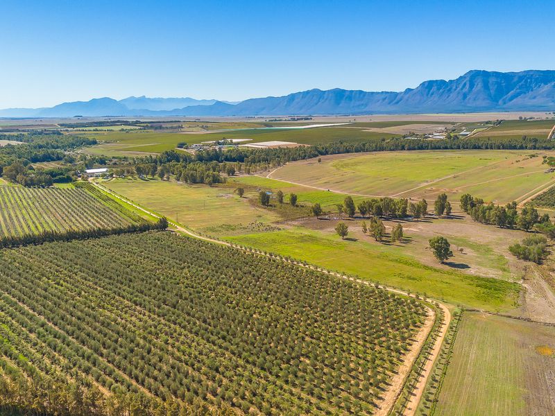 Wellington farm on Berg River for sale. - Photo 1