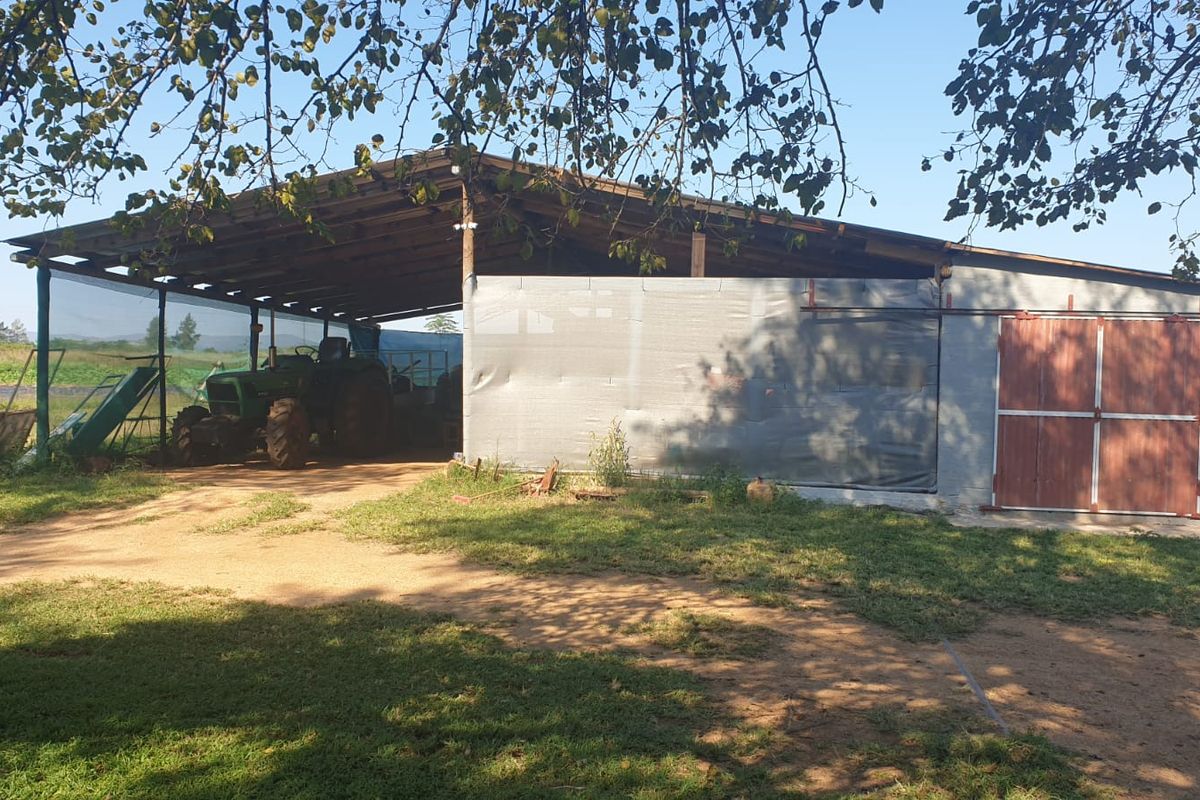 Productive Vegetable Farm - Photo 2
