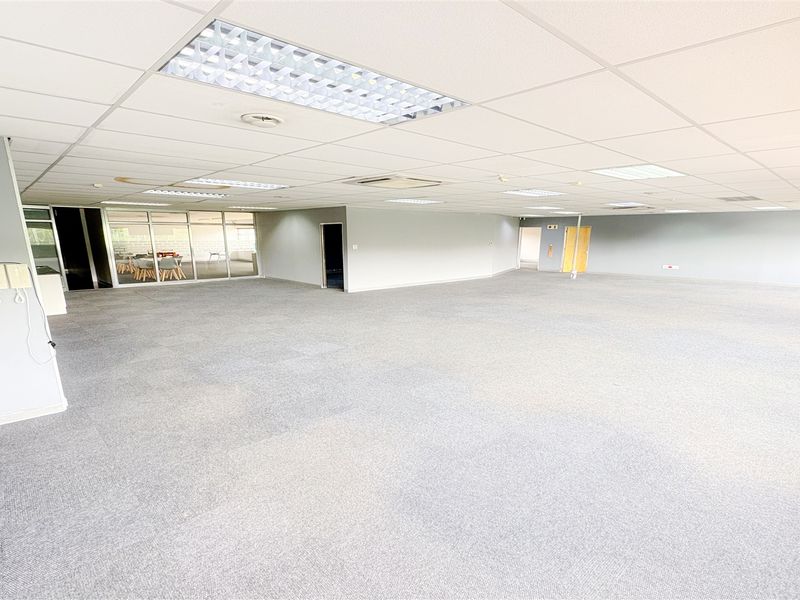 Spacious open-plan office area featuring a suspended ceiling, recessed lighting, and carpeted flooring, offering a versatile workspace layout.