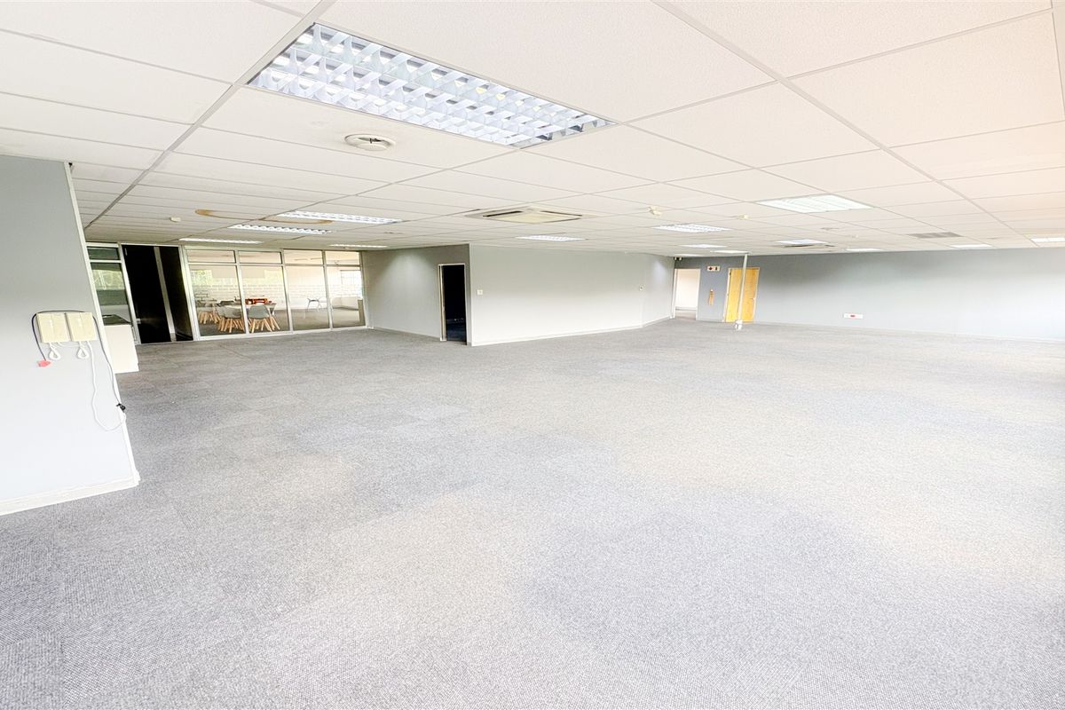 Spacious open-plan office area featuring a suspended ceiling, recessed lighting, and carpeted flooring, offering a versatile workspace layout.