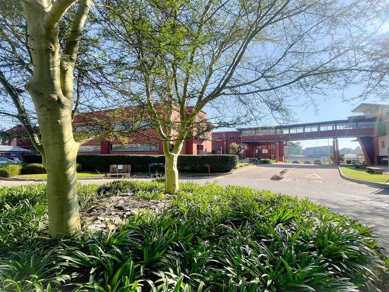 A view of the office park exterior featuring a paved driveway, landscaped gardens, and a connecting pedestrian bridge between office buildings.