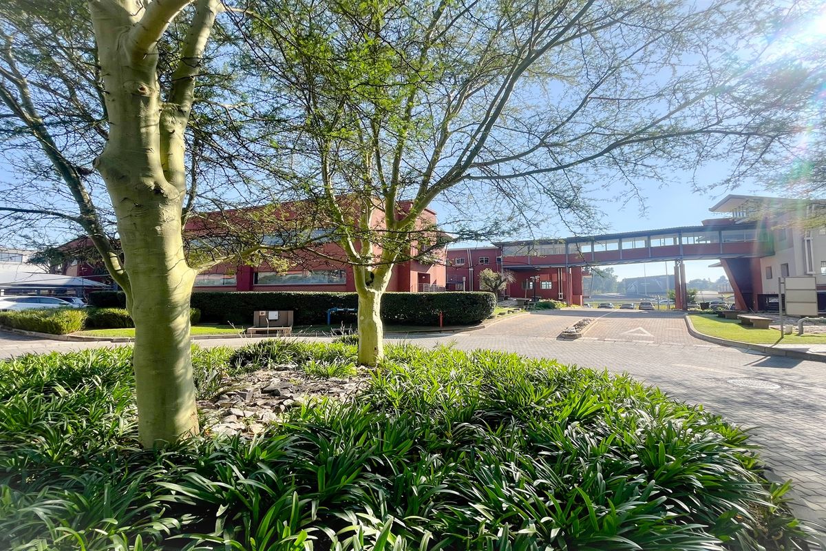 A view of the office park exterior featuring a paved driveway, landscaped gardens, and a connecting pedestrian bridge between office buildings.