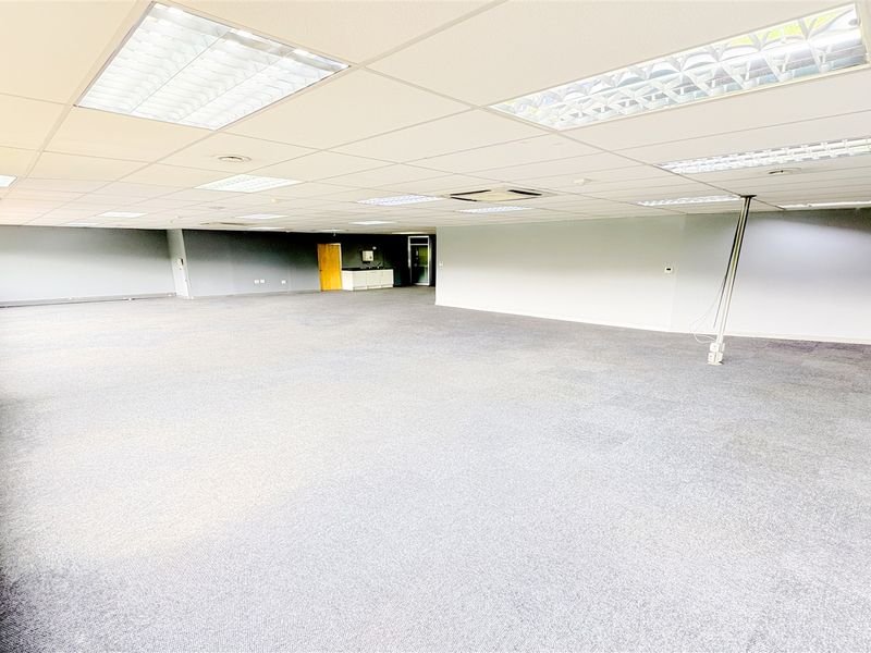A spacious, open-plan office area featuring a suspended ceiling with recessed lighting and carpeted flooring, offering a versatile workspace layout.