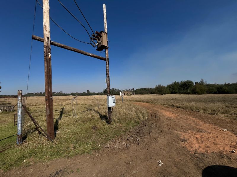 A view of the farm entrance featuring a dirt access road, utility infrastructure, and open grazing land.