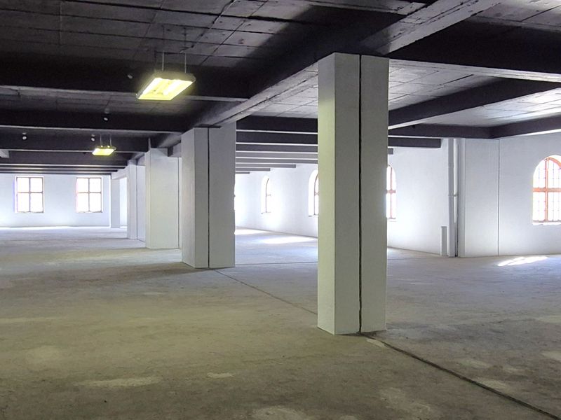 NEWSPAPER HOUSE | ICONIC COMMERCIAL PREMISES | CENTRAL AND SECURE - Photo 3