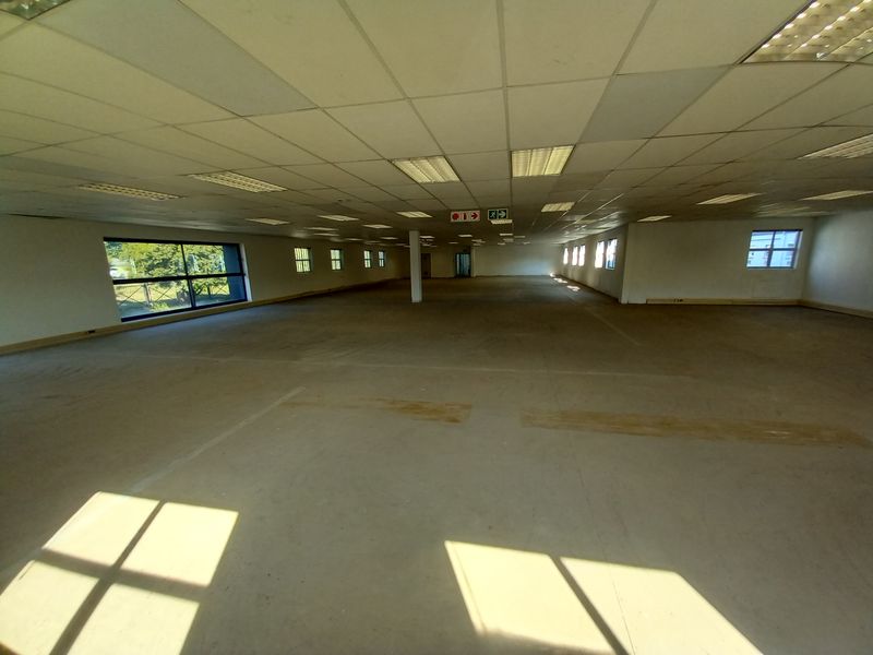A large, open-plan office space featuring a suspended ceiling with recessed lighting, large windows, and an expansive, vacant floor area.