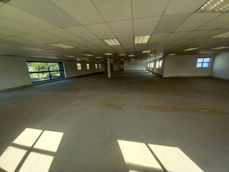 A large, open-plan office space featuring a suspended ceiling, recessed lighting, and expansive windows, currently vacant and ready for custom fit-out.