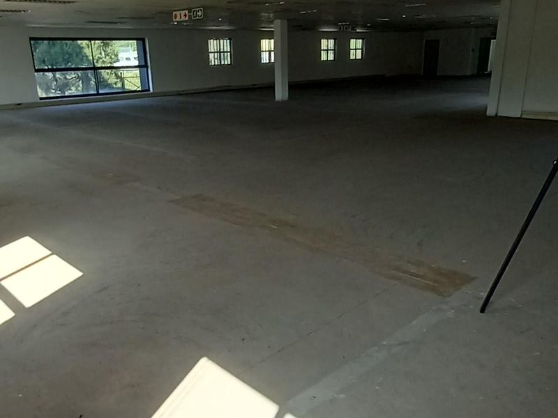 A large, open-plan office space featuring a suspended ceiling with recessed lighting and concrete flooring, offering a blank canvas for custom fit-outs.
