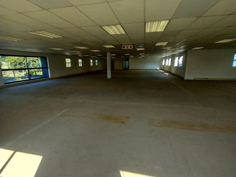 A large, open-plan office space featuring a suspended ceiling, recessed lighting, and expansive windows, currently vacant and ready for customization.