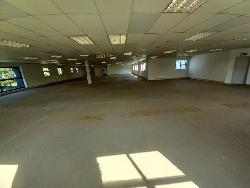 A large, open-plan office space featuring a suspended ceiling with recessed lighting and concrete flooring, ready for custom fit-out.