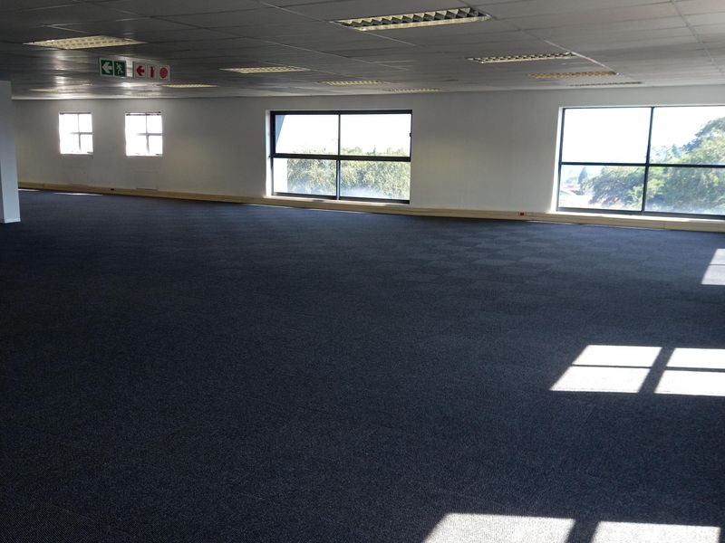 A spacious, open-plan office area featuring carpeted flooring, a suspended ceiling with recessed lighting, and large windows providing ample natural light.