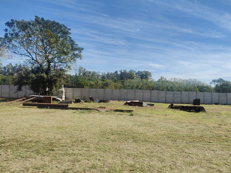 A large, open garden area featuring a precast concrete boundary wall and mature trees, currently requiring clearing and landscaping maintenance.