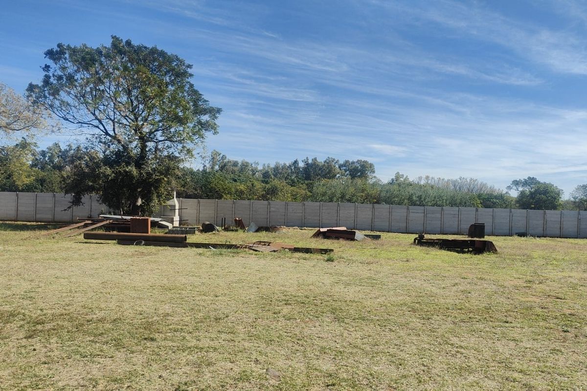 A large, open garden area featuring a precast concrete boundary wall and mature trees, currently requiring clearing and landscaping maintenance.