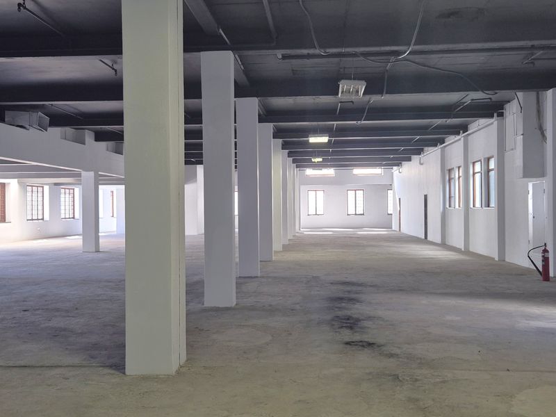 NEWSPAPER HOUSE | ICONIC COMMERCIAL PREMISES | CENTRAL AND SECURE - Photo 9