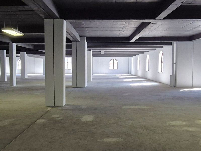 NEWSPAPER HOUSE | ICONIC COMMERCIAL PREMISES | CENTRAL AND SECURE - Photo 5