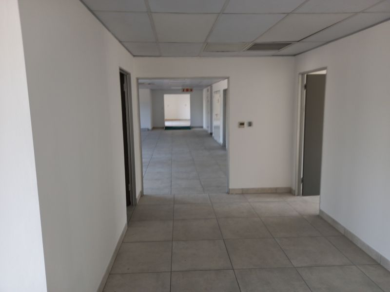 An empty, open-plan office space featuring neutral tiled flooring and a suspended ceiling, providing a clean and versatile professional environment.