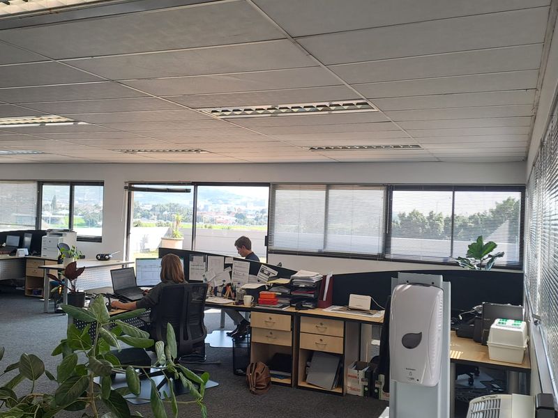 Modern Office Space to Let in Pinelands - Photo 4