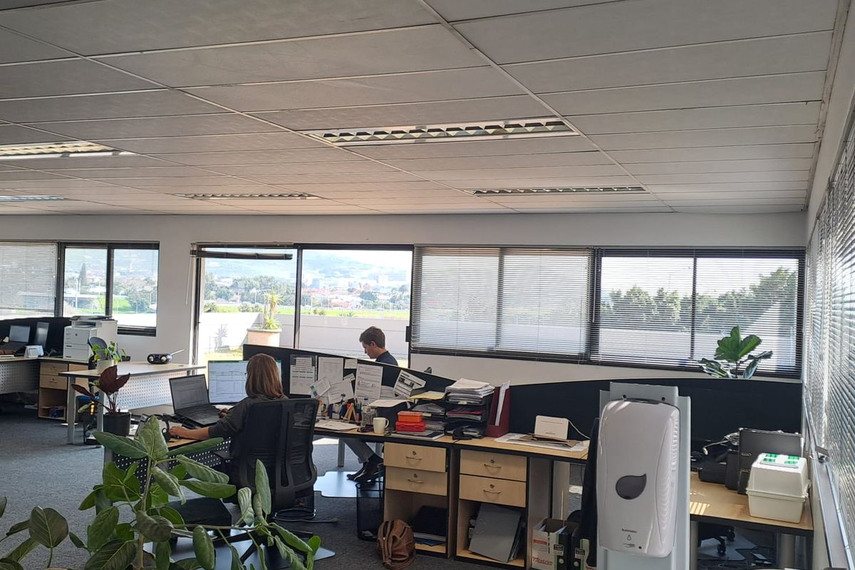 Modern Office Space to Let in Pinelands - Photo 4