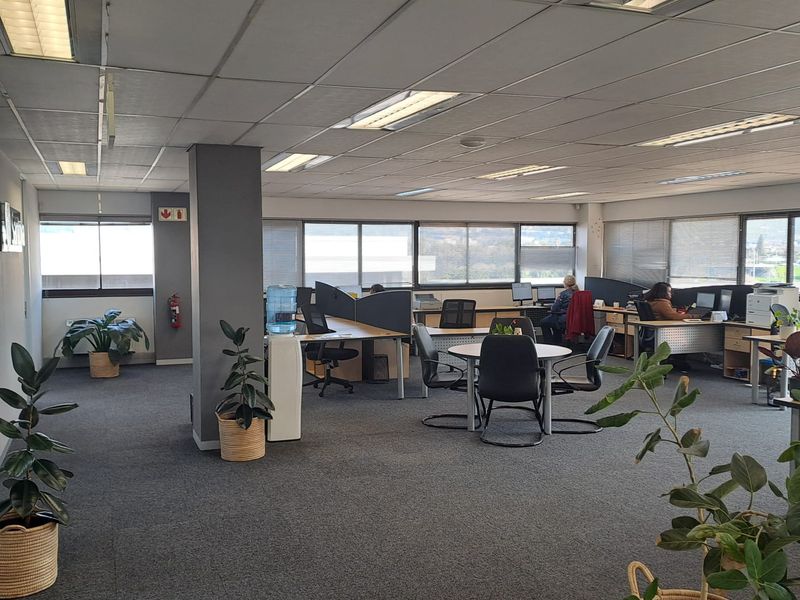 Modern Office Space to Let in Pinelands - Photo 2