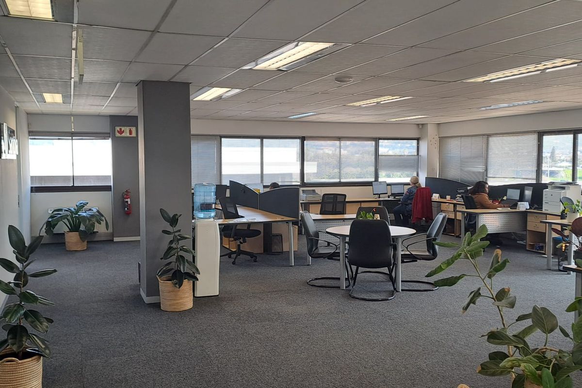 Modern Office Space to Let in Pinelands - Photo 2