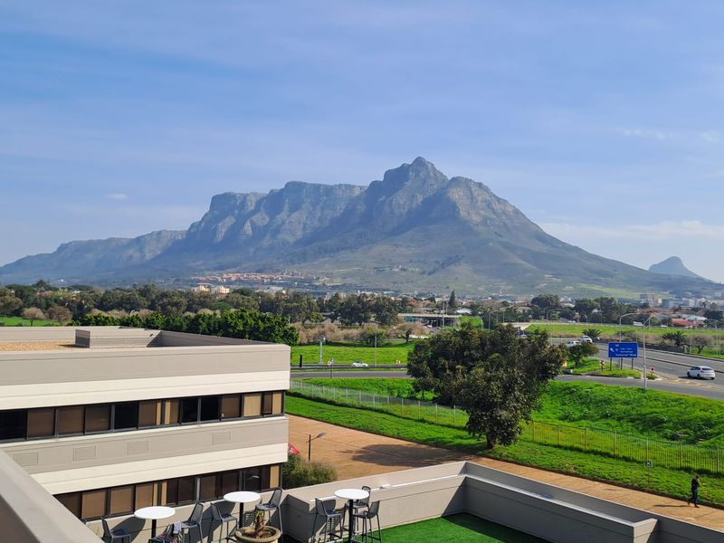 Modern Office Space to Let in Pinelands - Photo 8