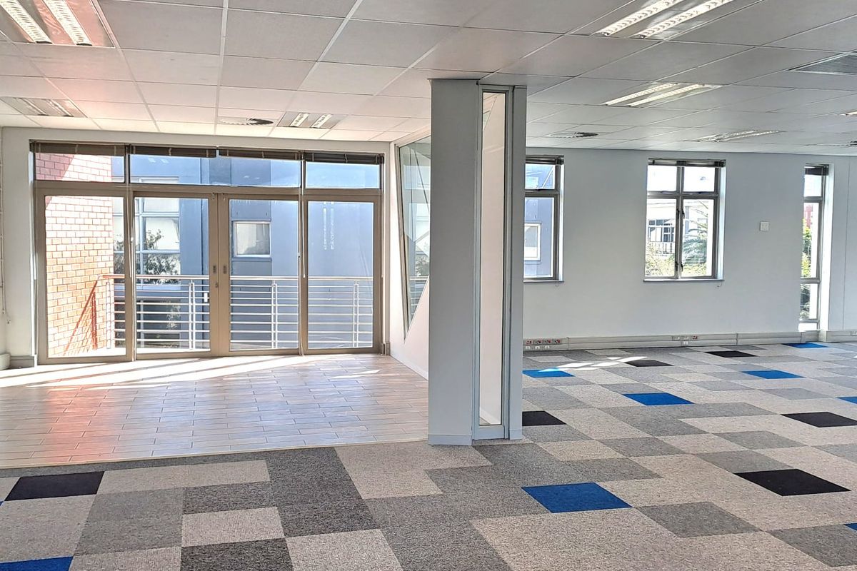 Spacious open-plan office area featuring a suspended ceiling, recessed lighting, patterned carpet tiles, and large windows providing ample natural light.