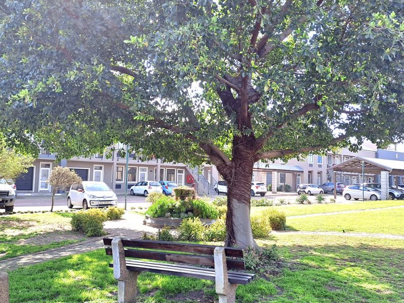 A well-maintained communal garden area featuring a mature tree, paved pathways, and a park bench within an office park setting.