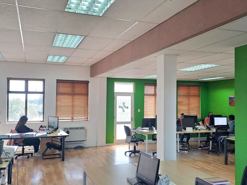 Open-plan office space featuring wood-look flooring, recessed fluorescent lighting, and large windows with fitted blinds, providing a functional workspace environment.