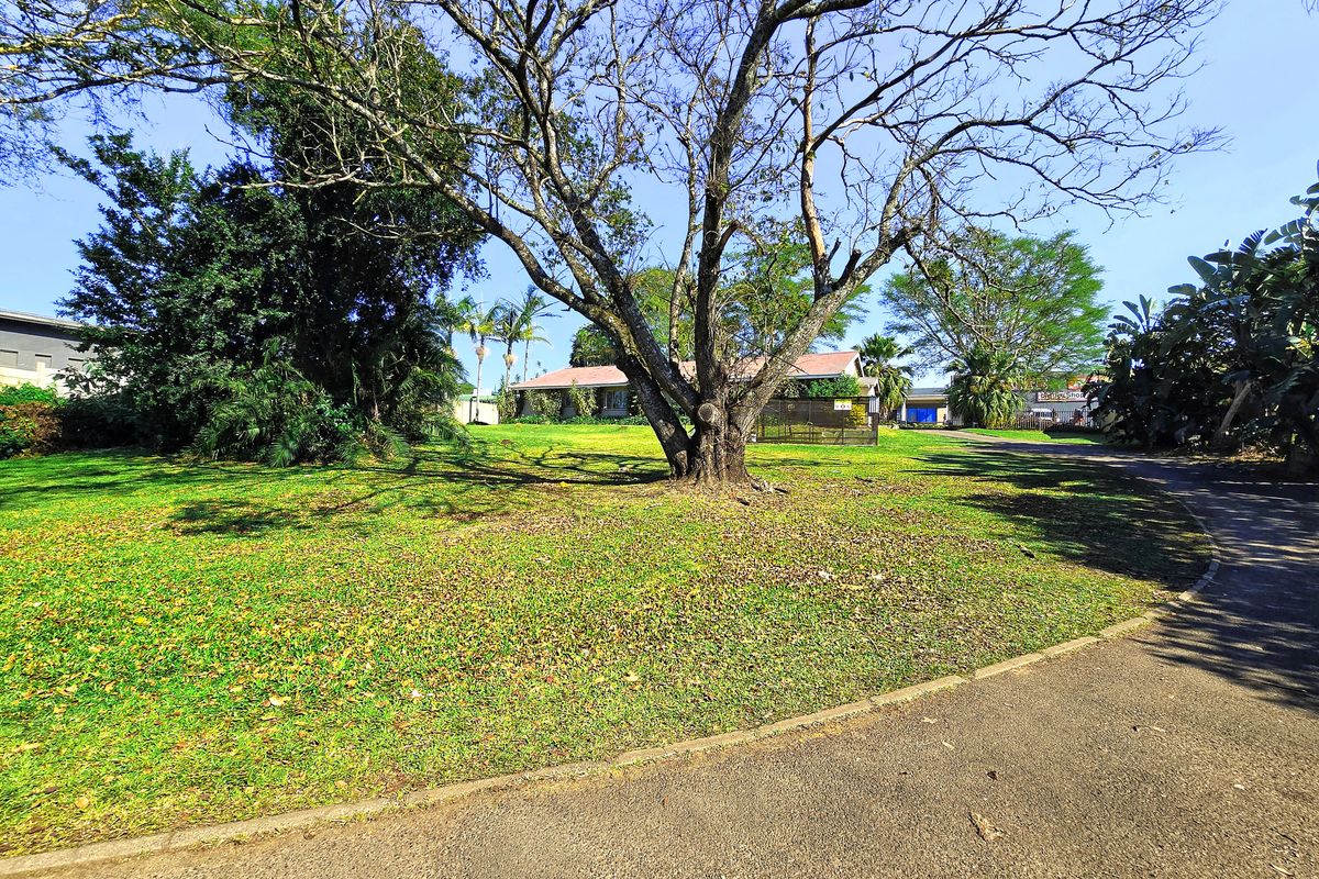 Huge Potential! - Photo 5