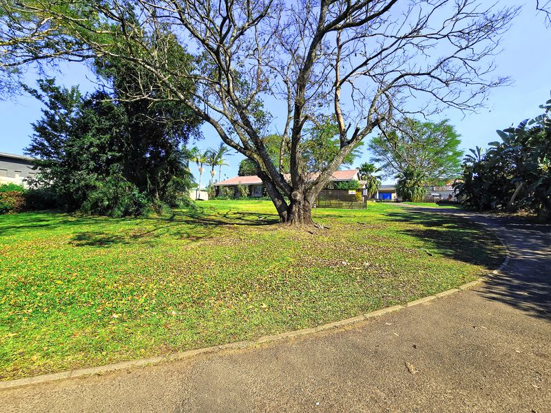 Huge Potential! - Photo 5