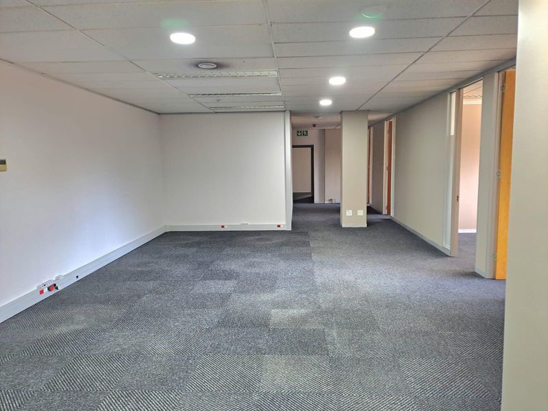 An open-plan office space featuring a suspended ceiling, recessed lighting, and durable carpet tiles, providing a clean and functional workspace environment.
