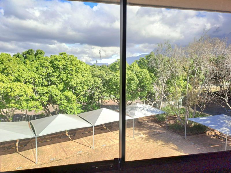 A view from an office window overlooking a paved parking area with shade sail structures and mature trees.
