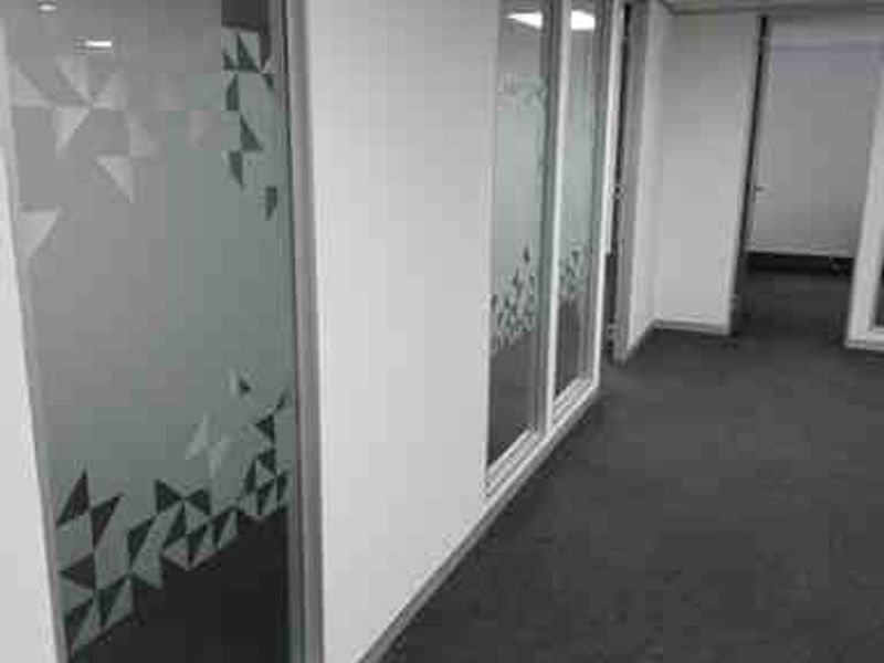 A clean, modern commercial hallway featuring glass partition walls with decorative frosted film, grey carpeting, and a suspended ceiling with recessed lighting.