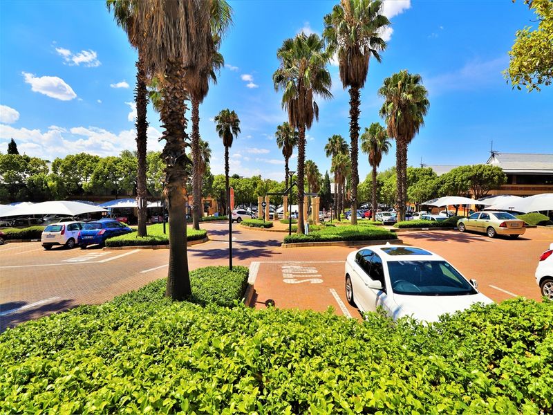 A well-maintained office park parking area featuring paved surfaces, mature palm trees, and shaded parking bays.