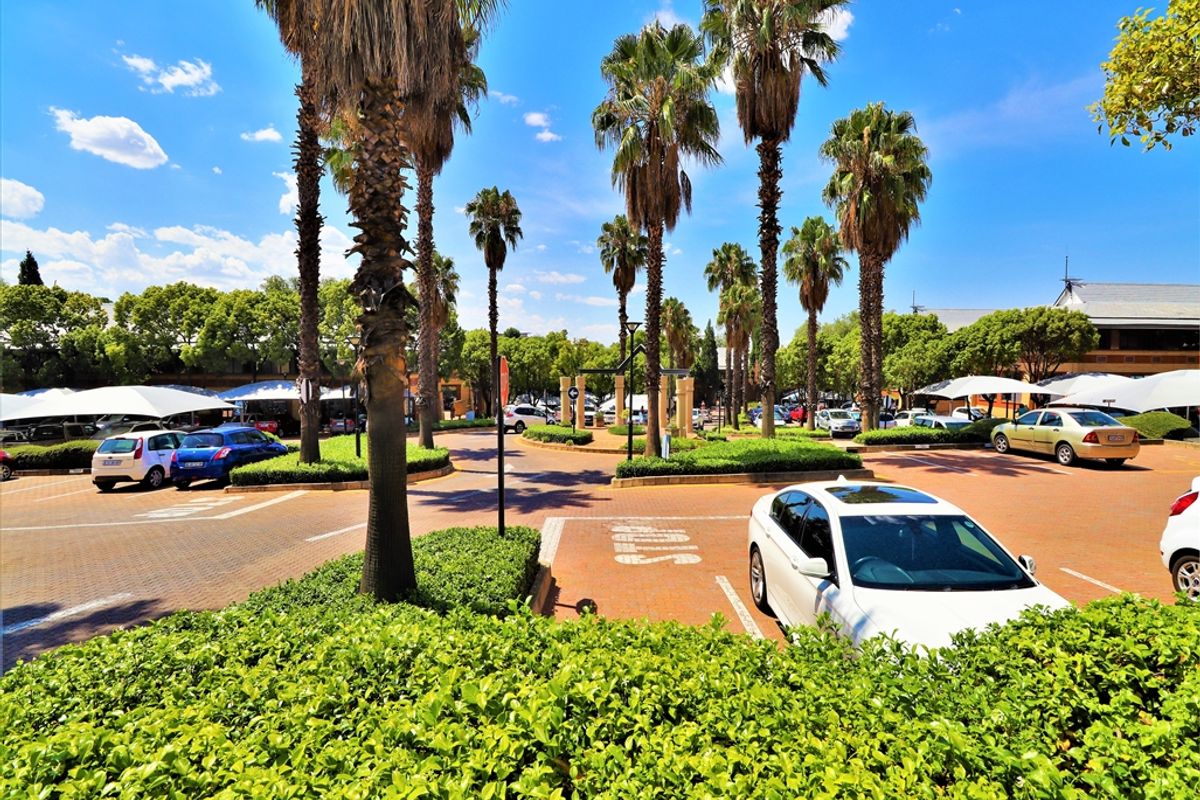 A well-maintained office park parking area featuring paved surfaces, mature palm trees, and shaded parking bays.