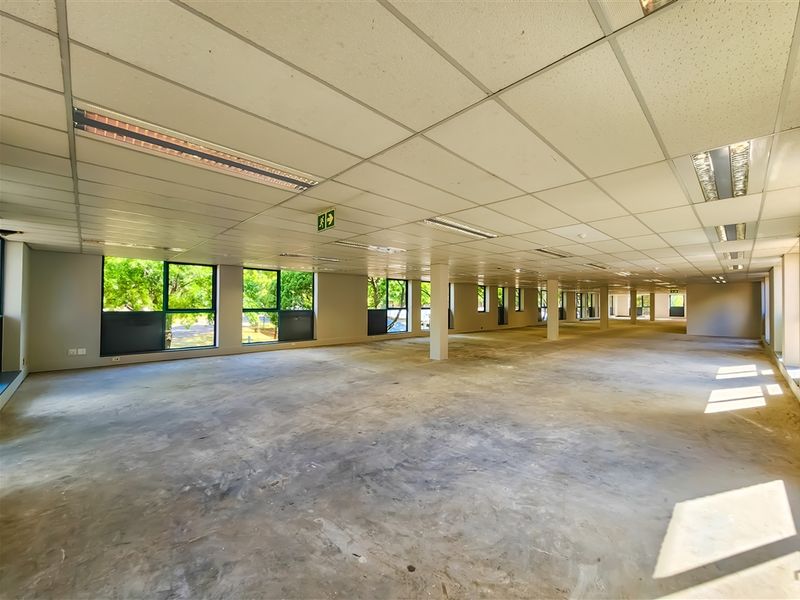A large, open-plan office space featuring a suspended ceiling, recessed lighting, and expansive windows providing ample natural light.