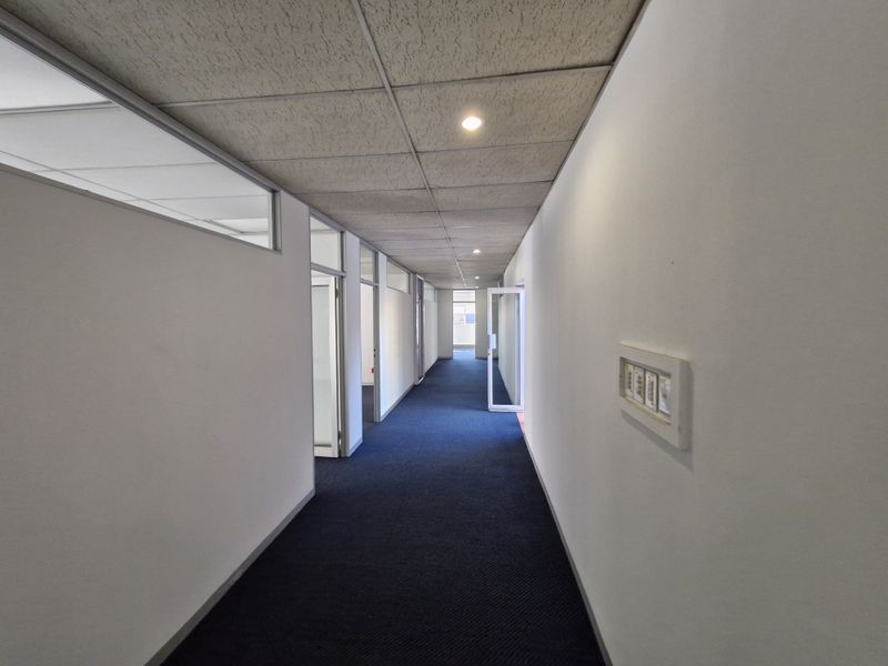 A clean, empty office hallway featuring blue carpet flooring, a suspended ceiling with recessed lighting, and glass-paneled office doors.