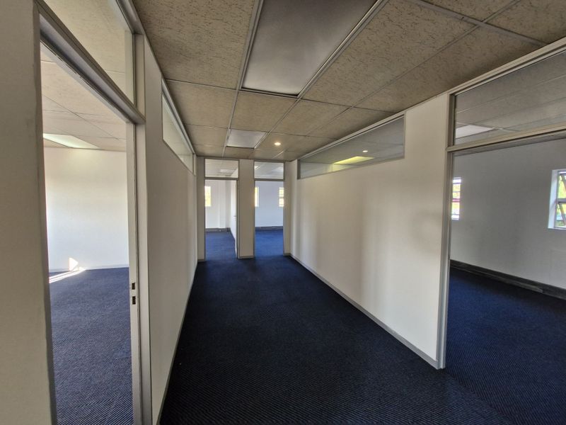 A vacant office hallway featuring blue carpeting, suspended ceiling tiles, and glass-partitioned office entrances, providing a clean and functional workspace layout.
