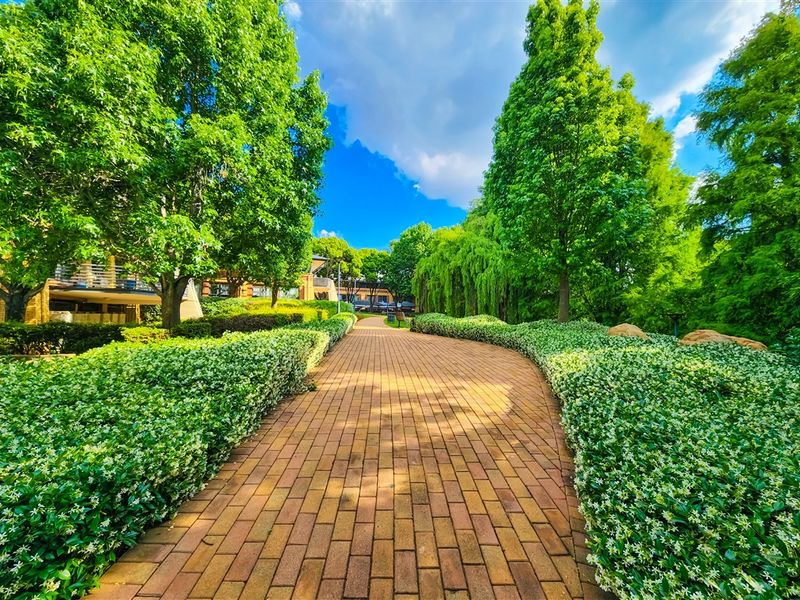 1335m2 First Floor Office to Let in Constantia Office Park - Photo 4
