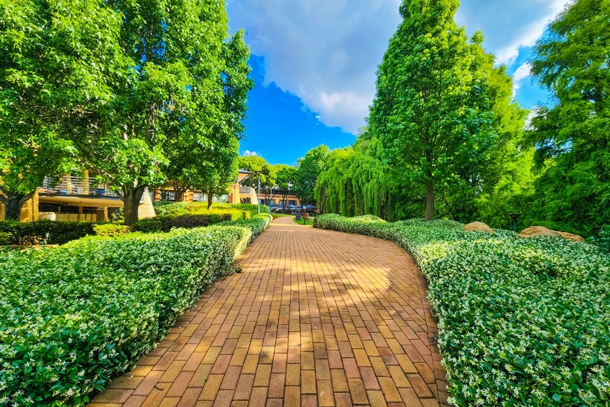 1335m2 First Floor Office to Let in Constantia Office Park - Photo 4