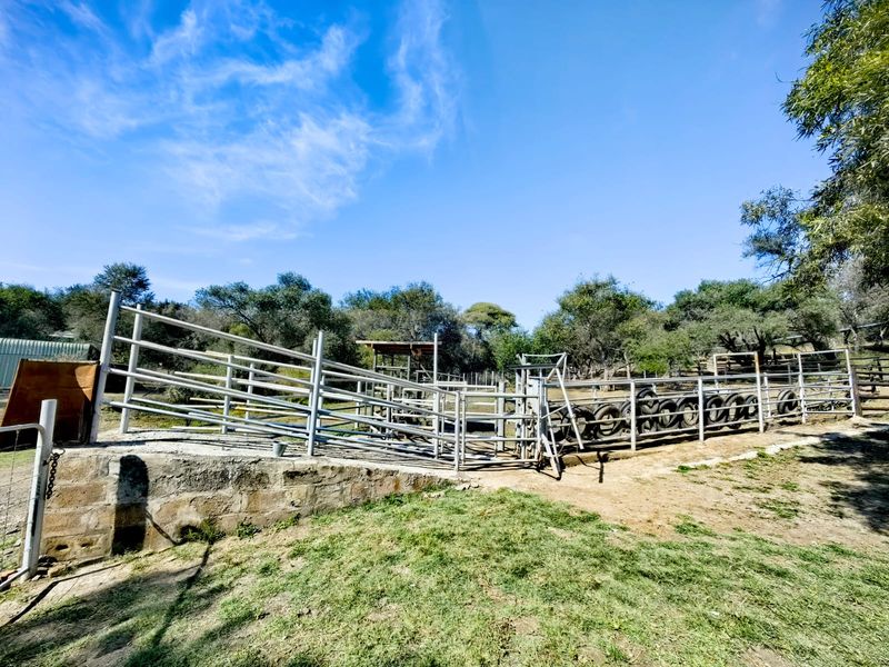 Swartruggens! Magnificent All-In-One Farm! - Photo 7