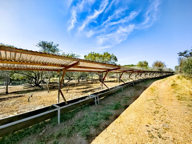 Swartruggens! Magnificent All-In-One Farm! - Photo 9