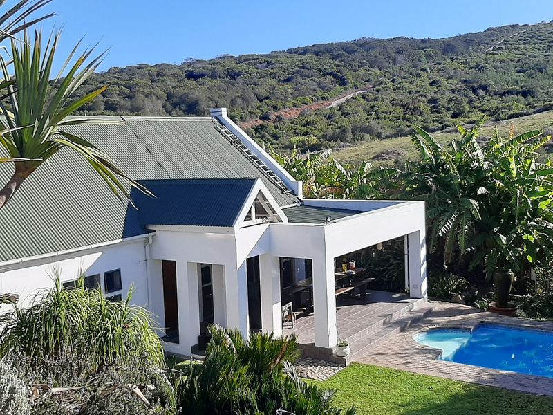 Rear view of the farmhouse featuring a covered patio, swimming pool, and landscaped garden set against a scenic hillside backdrop.