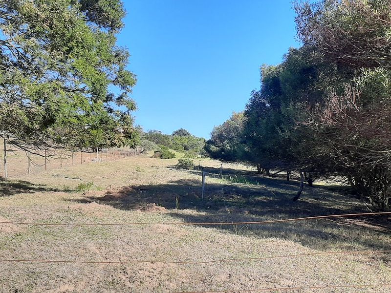 Development opportunity with potential  business development - Photo 4