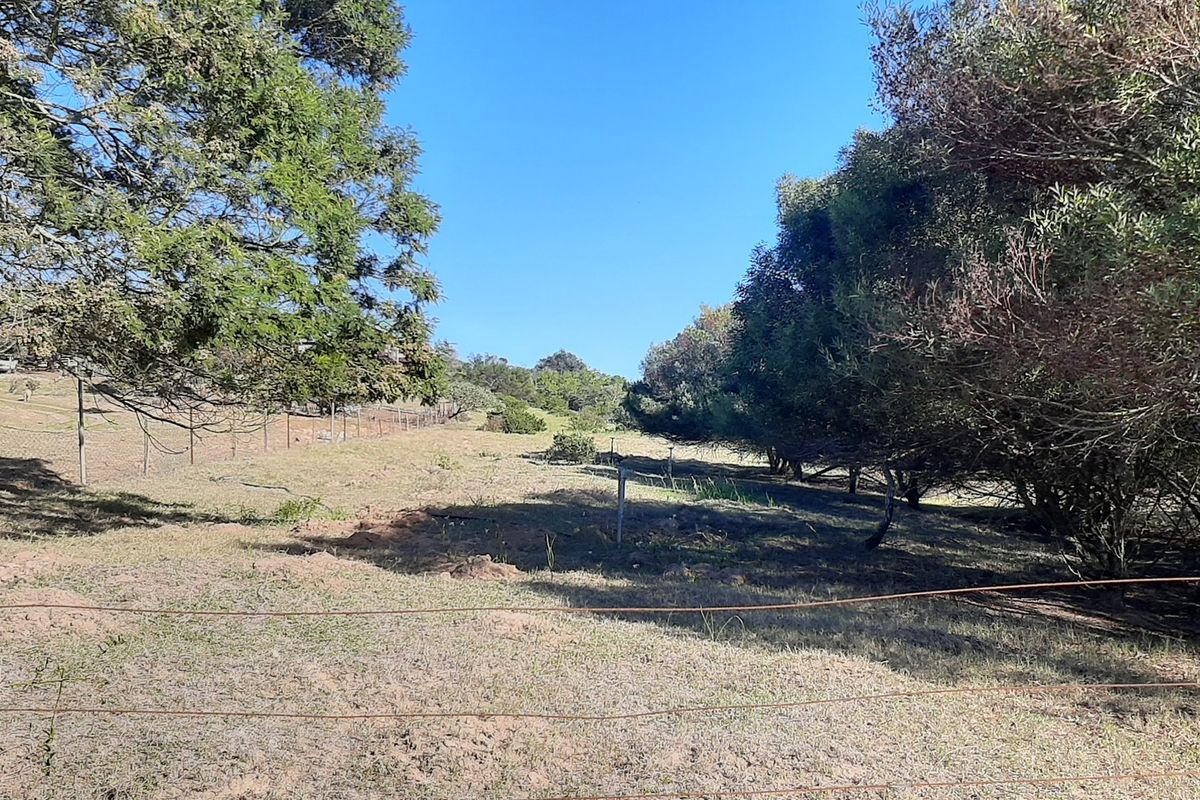 Development opportunity with potential  business development - Photo 4