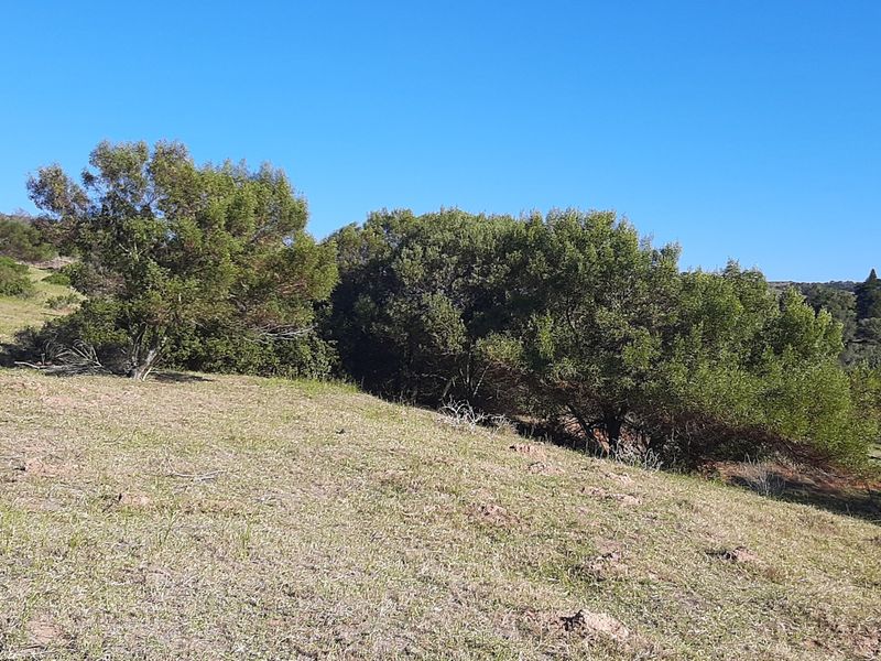 Development opportunity with potential  business development - Photo 8