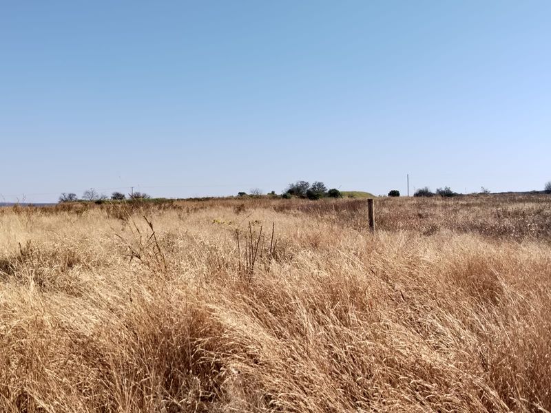 A wide-angle view of the open farm landscape featuring dry grass fields under a clear blue sky.